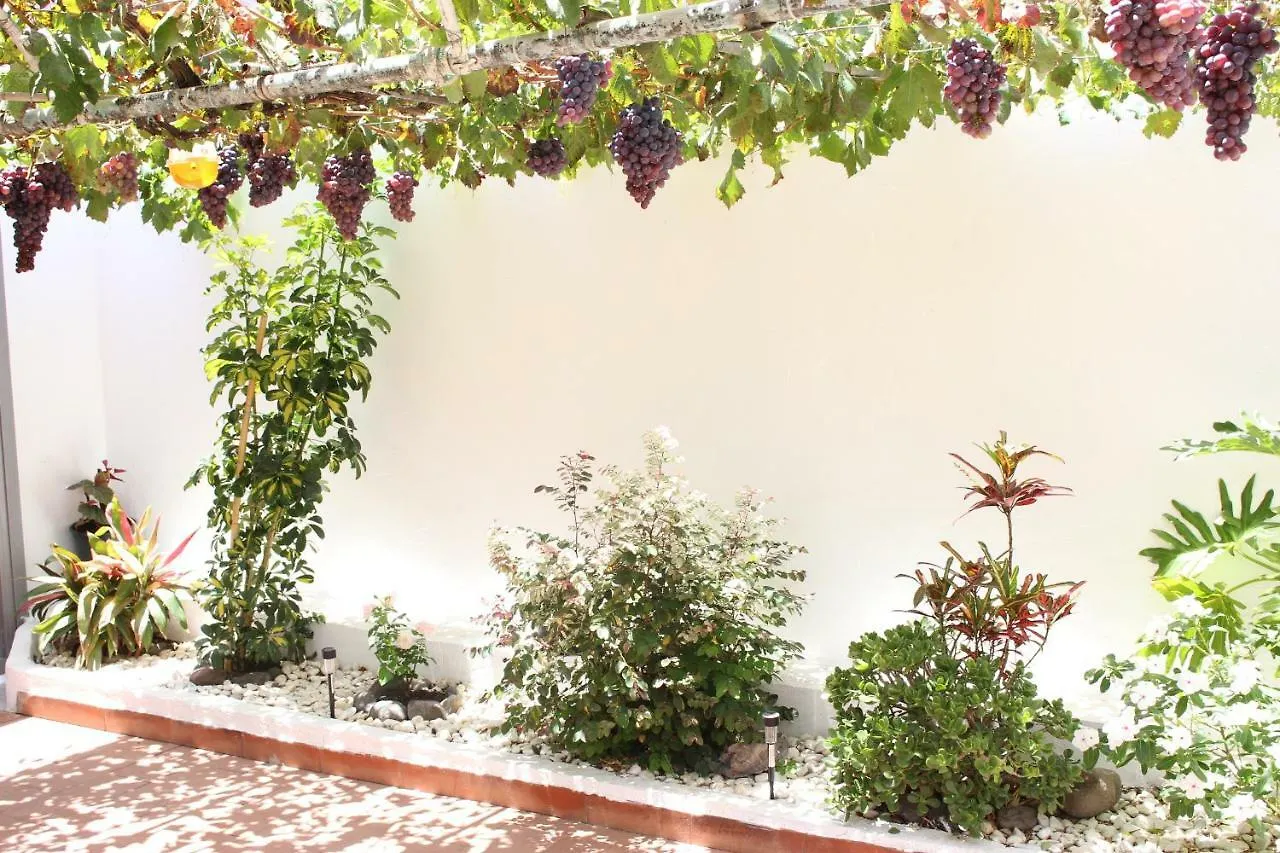 Willa Casa Carmela Agaete  Agaete (Gran Canaria)