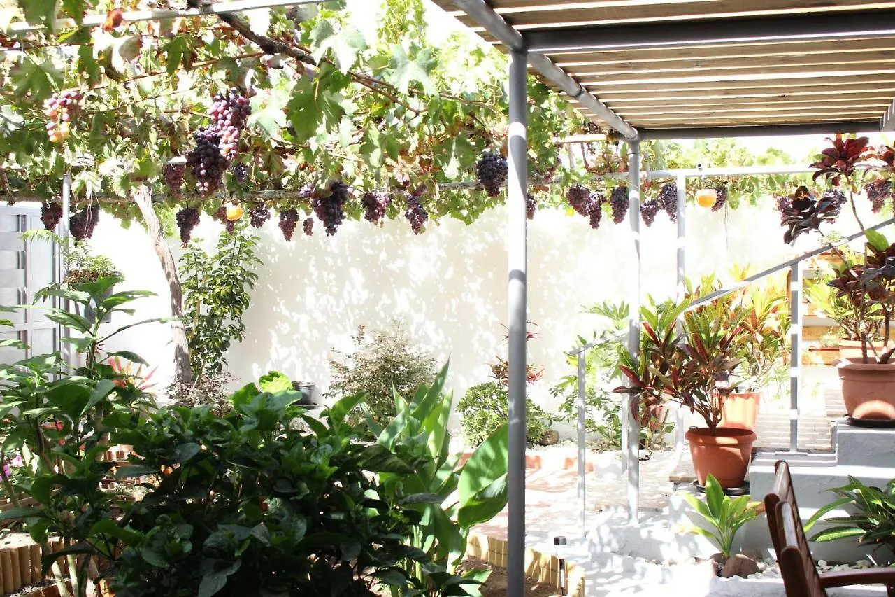 Holiday home Casa Carmela Villa Agaete